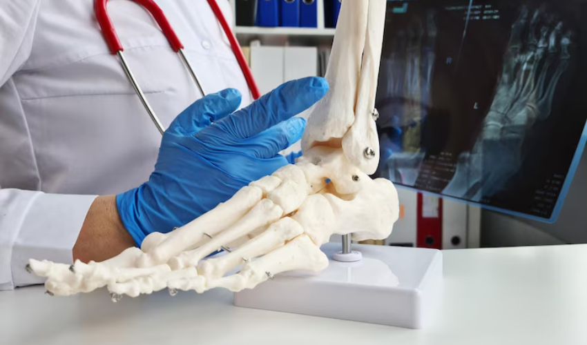 Pathology Lab Image